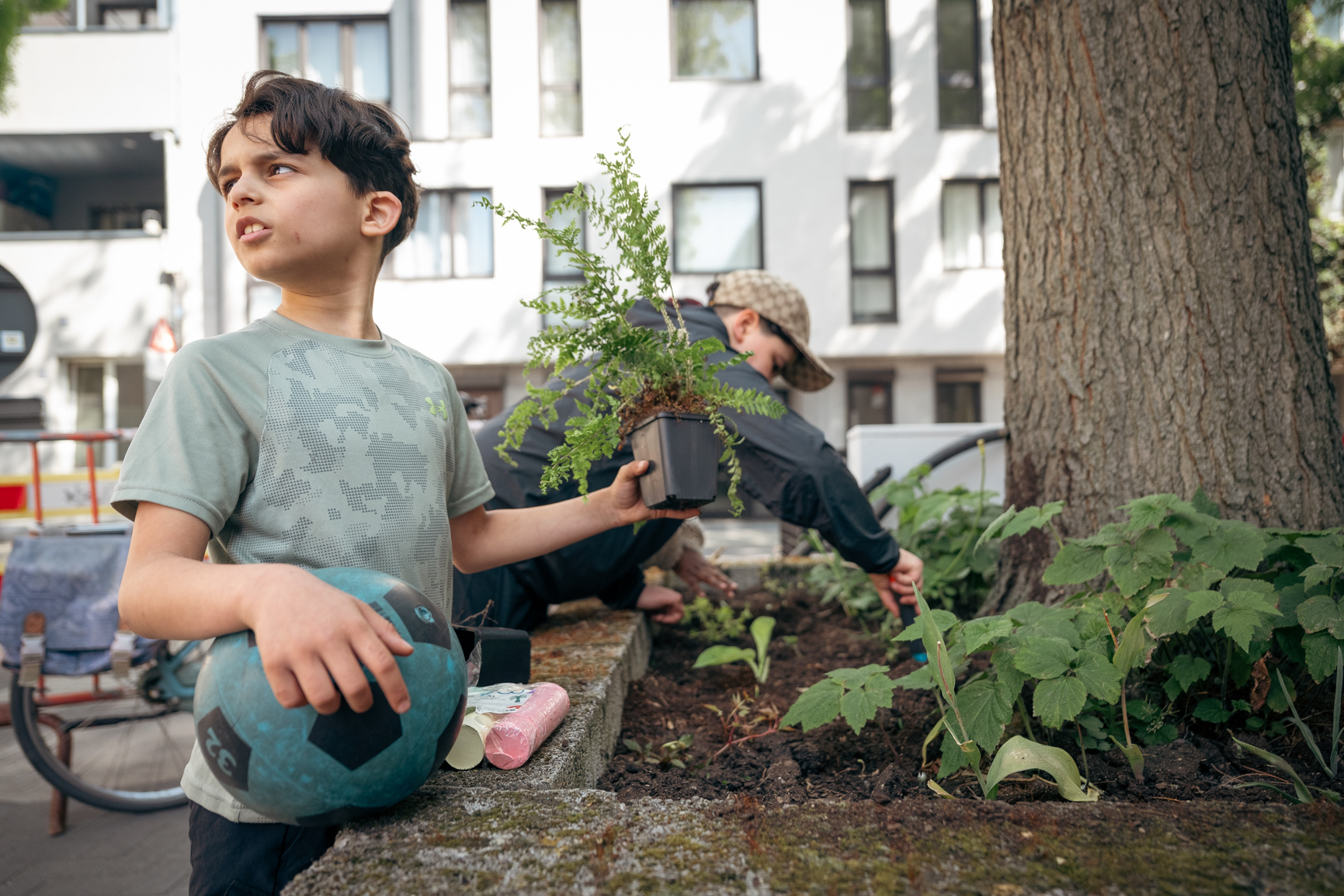 Bestel voor 1 september je gratis plantjes. 17 oktober is het weer Groeidag in Borgerhout